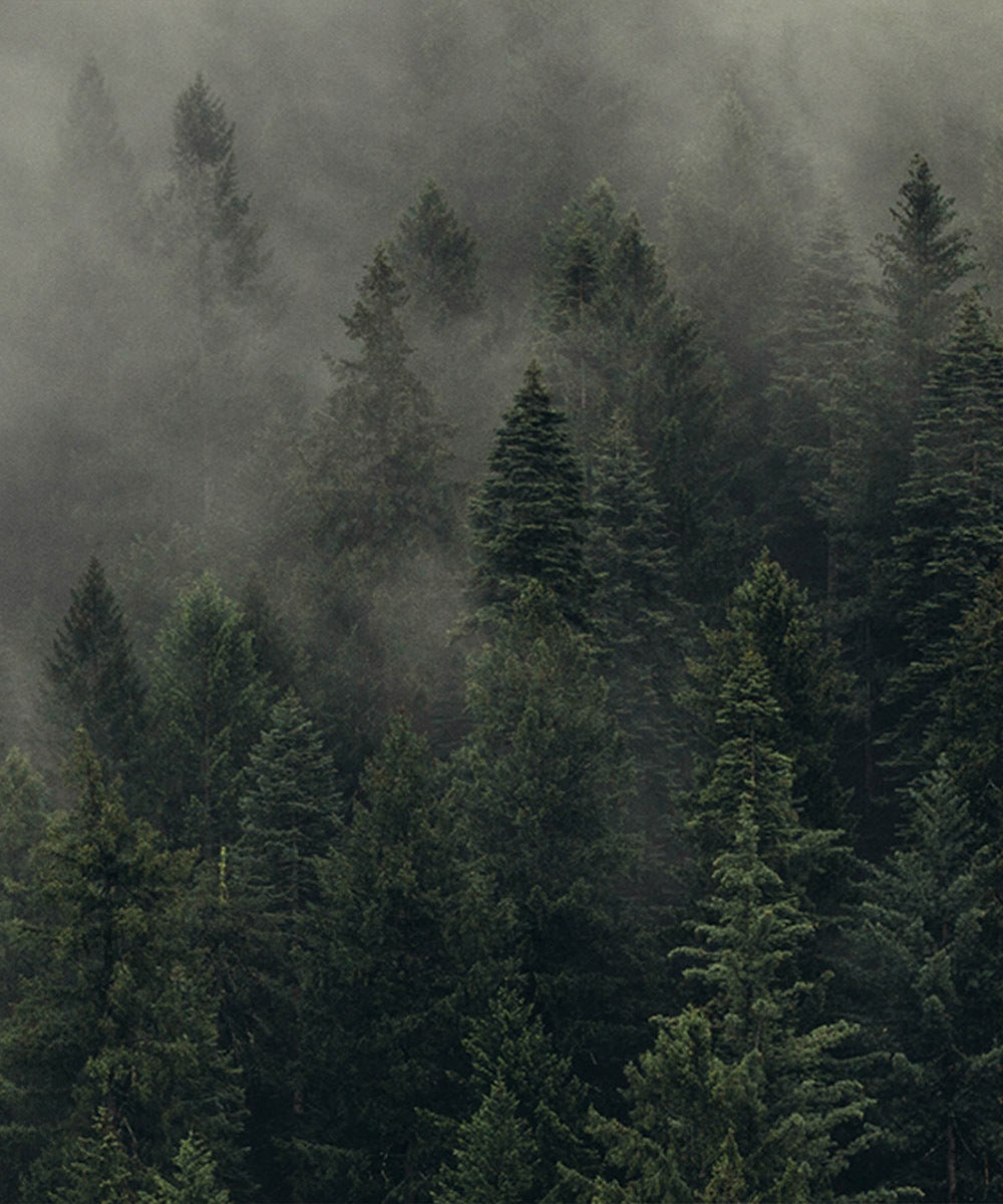 Vegan Lip & Hand Care Kit